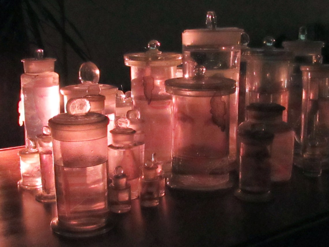 "nancy Leach's Collection of Beauty" by Danielle Burgess, Body Archives 2  Photo by Nicole Brown